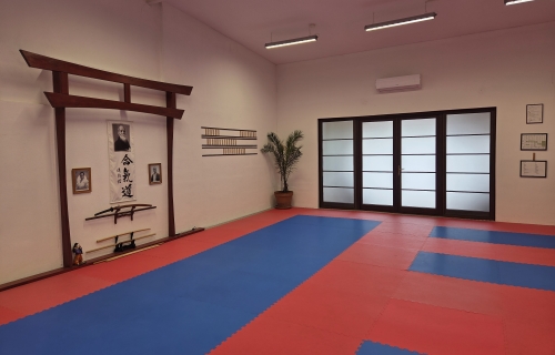 ny.dojo 500
